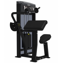 AeroFit IF9323 Разгибание рук из каталога грузоблочных тренажеров в Сочи по цене 238430 ₽