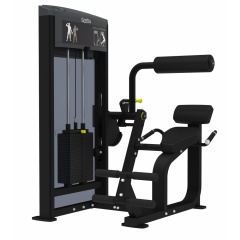 AeroFit IF9332 Разгибание спины из каталога грузоблочных тренажеров в Сочи по цене 309100 ₽