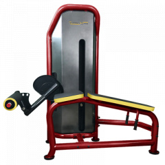 TurboGym Rubin бицепс бедра из каталога грузоблочных тренажеров в Сочи по цене 126910 ₽