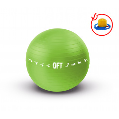 Original FitTools 65 см. с насосом зеленый FT-GBPRO-65GN из каталога фитболов  в Сочи по цене 1690 ₽