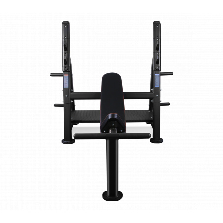 Рендер-24 для Bronze Gym BR-1014 наклонная
