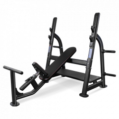 Bronze Gym BR-1014 наклонная из каталога скамей со стойкой в Сочи по цене 102850 ₽