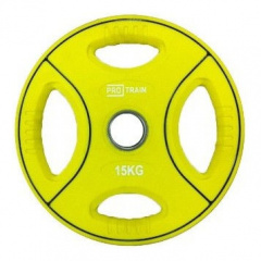 Protrain DB6092-15 (д=50 мм) из каталога дисков для штанги с посадочным диаметром 50 мм. в Сочи по цене 6800 ₽