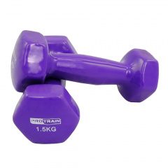 Protrain 1.5 кг. HC4005-1,5 из каталога виниловых гантелей в Сочи по цене 970 ₽