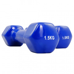 Protrain TA-2103-1,5 (пара) из каталога виниловых гантелей в Сочи по цене 1210 ₽