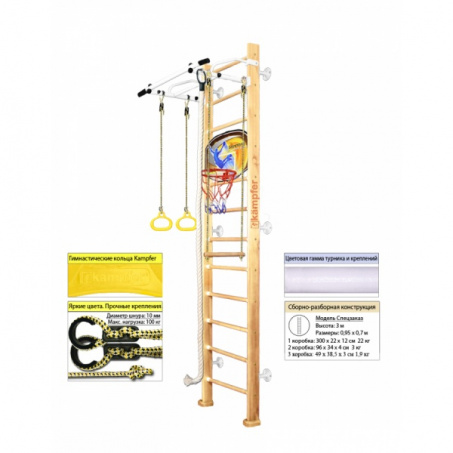 Рендер-10 для Kampfer Helena Wall Bassketball Shild 3 M