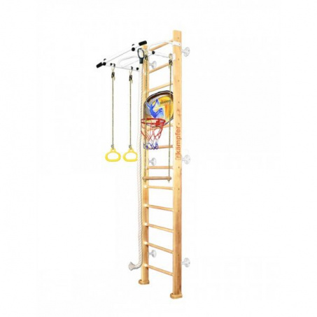 Рендер-0 для Kampfer Helena Wall Bassketball Shild 3 M