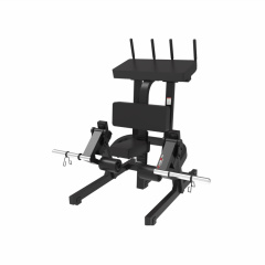 UltraGym UG-714 из каталога тренажеров на свободных весах в Сочи по цене 127080 ₽