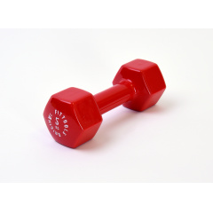Original FitTools 5 кг (Цвет - красный) из каталога виниловых гантелей в Сочи по цене 1790 ₽