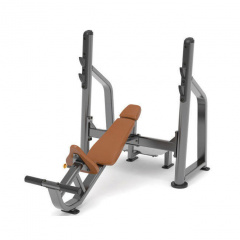 AnyFit PEB102 с положительным углом наклона из каталога скамей со стойкой в Сочи по цене 133280 ₽