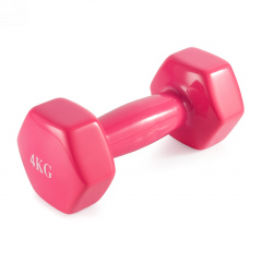 VictoryFit 4 кг. 1 шт.VF-DV040 из каталога виниловых гантелей в Сочи по цене 1310 ₽