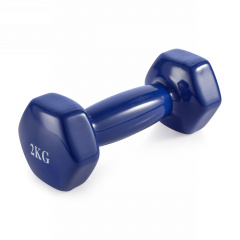 VictoryFit 2 кг. 1 шт. VF-DV020 из каталога виниловых гантелей в Сочи по цене 660 ₽