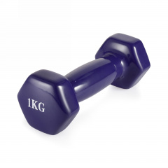VictoryFit 1 кг. 1 шт. VF-DV010 из каталога виниловых гантелей в Сочи по цене 330 ₽
