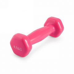 VictoryFit 0,5 кг. 1 шт. VF-DV005 из каталога виниловых гантелей в Сочи по цене 320 ₽