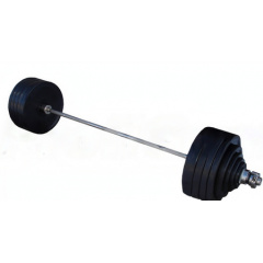 ProfyGym ШП-004 рекордная олимпийская 282.5 в наборе из каталога штанг в Сочи по цене 134900 ₽