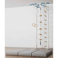 BarFits New Age RJ Premium line из каталога металлических шведских стенок в Сочи по цене 51900 ₽