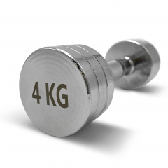UnixFit PRO круглая 4 кг DBRND4PCE из каталога хромированных гантелей в Сочи по цене 2190 ₽