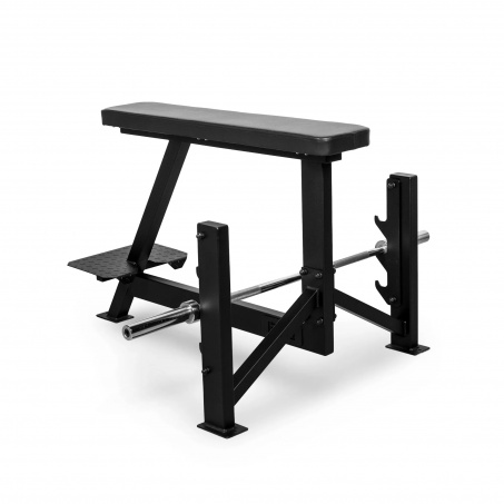 Рендер-3 для Bronze Gym PARTNER AL-308