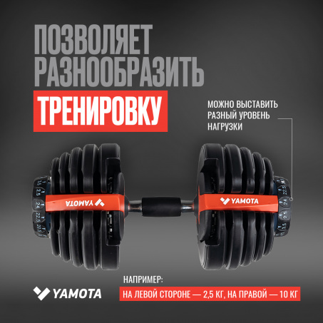 Рендер-11 для Yamota Fit 24 kg