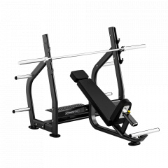 Bronze Gym RAVE RE56 из каталога скамей со стойкой в Сочи по цене 119000 ₽