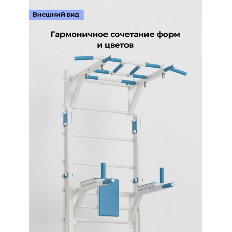 Рендер-2 для BarFits New Age Х (с опорой на пол) Premium line