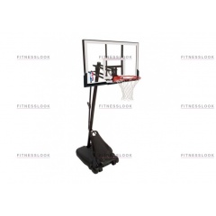 66634CN Gold 48″ в Сочи по цене 61990 ₽ в категории баскетбольные стойки Spalding