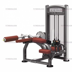 AeroFit IT9321 - сгибание ног лежа из каталога грузоблочных тренажеров в Сочи по цене 162950 ₽