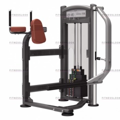 AeroFit IT9326 - ягодичные мышцы из каталога грузоблочных тренажеров в Сочи по цене 132350 ₽