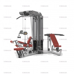 AeroFit ES3000+ES3000OPT с тяговой колонной из каталога мультистанций в Сочи по цене 549318 ₽