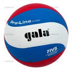 Gala Pro-line из каталога баскетбольных мячей в Сочи по цене 3030 ₽