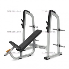 Precor DBR410 - со стойками из каталога скамей со стойкой в Сочи по цене 138130 ₽