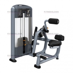 Precor DSL313 - разгибание спины из каталога грузоблочных тренажеров в Сочи по цене 444810 ₽