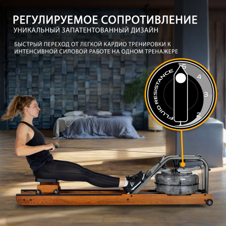 Рендер-4 для First Degree Fitness Apollo PRO V