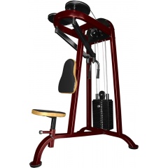 ProfiGym ТГ-0040-CР (Rubin) - Задняя дельта из каталога грузоблочных тренажеров в Сочи по цене 100390 ₽