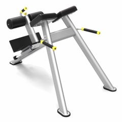 Protrain 61A43 из каталога гиперэкстензий в Сочи по цене 87100 ₽