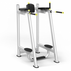 Protrain 61A45 из каталога стоек турник брусья-пресс в Сочи по цене 66220 ₽