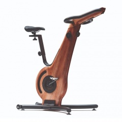 NOHrD Bike ясень окрашенный из каталога велотренажеров в Сочи по цене 493913 ₽